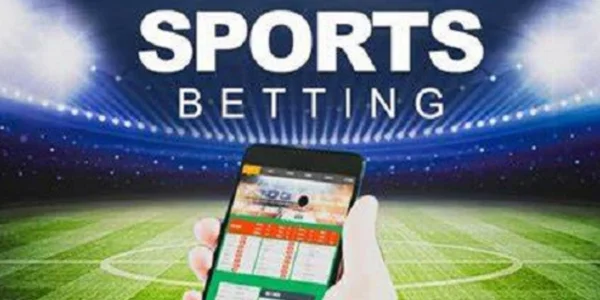 Best Sports Betting Sites for Beginners